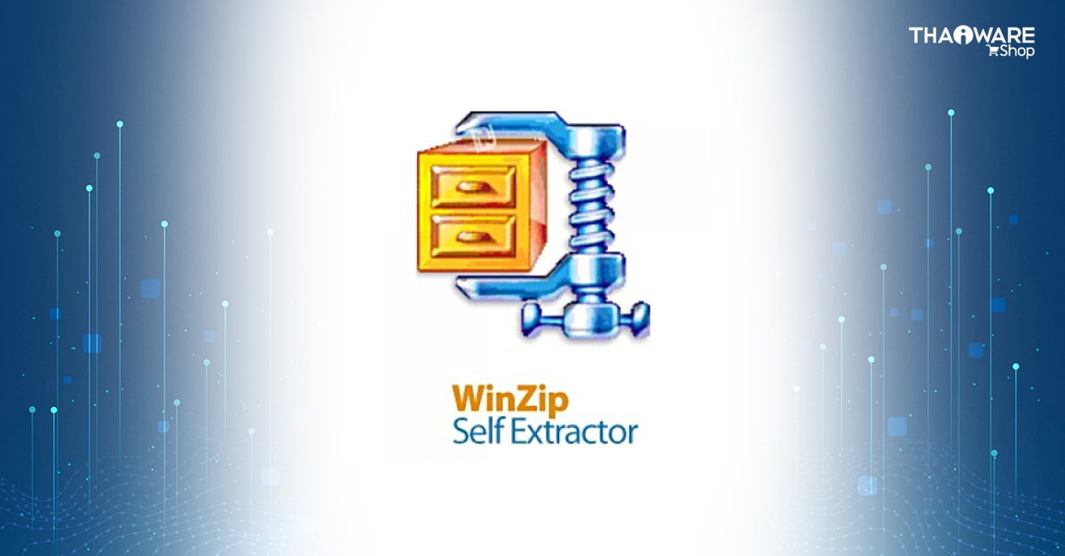 Winzip self extractor header corrupt ошибка как исправить