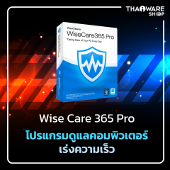 Wise Care 365 PRO