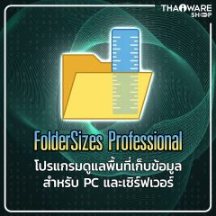 FolderSizes Professional