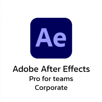 Adobe After Effects Pro for Teams Corporate (โปรแกรมทําเอฟเฟกต์ สร้างเอฟเฟกต์ สำหรับวิดีโอ รุ่นโปร)